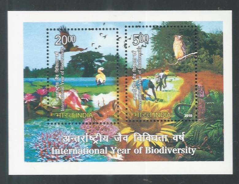 Indian Stamps - Miniature Sheets - International Year of Biodiversity , 2010 - EEE141