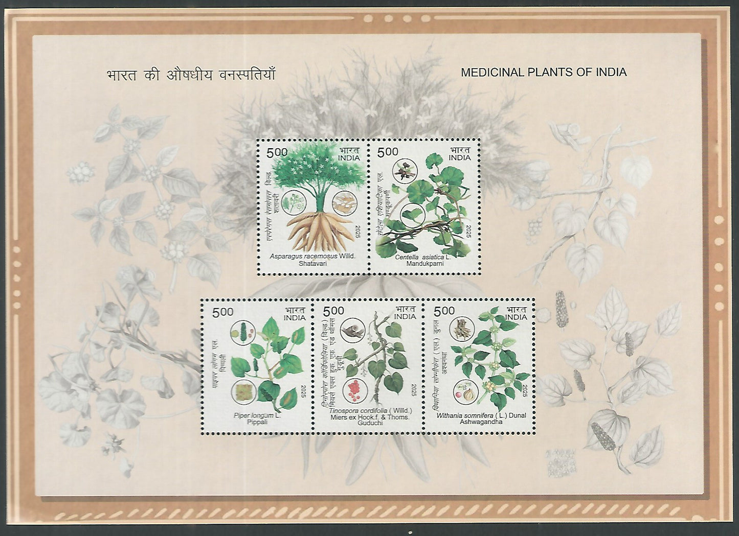 Indian Stamps - Miniature Sheets - Medicinal Plants, 2025 - EEE185