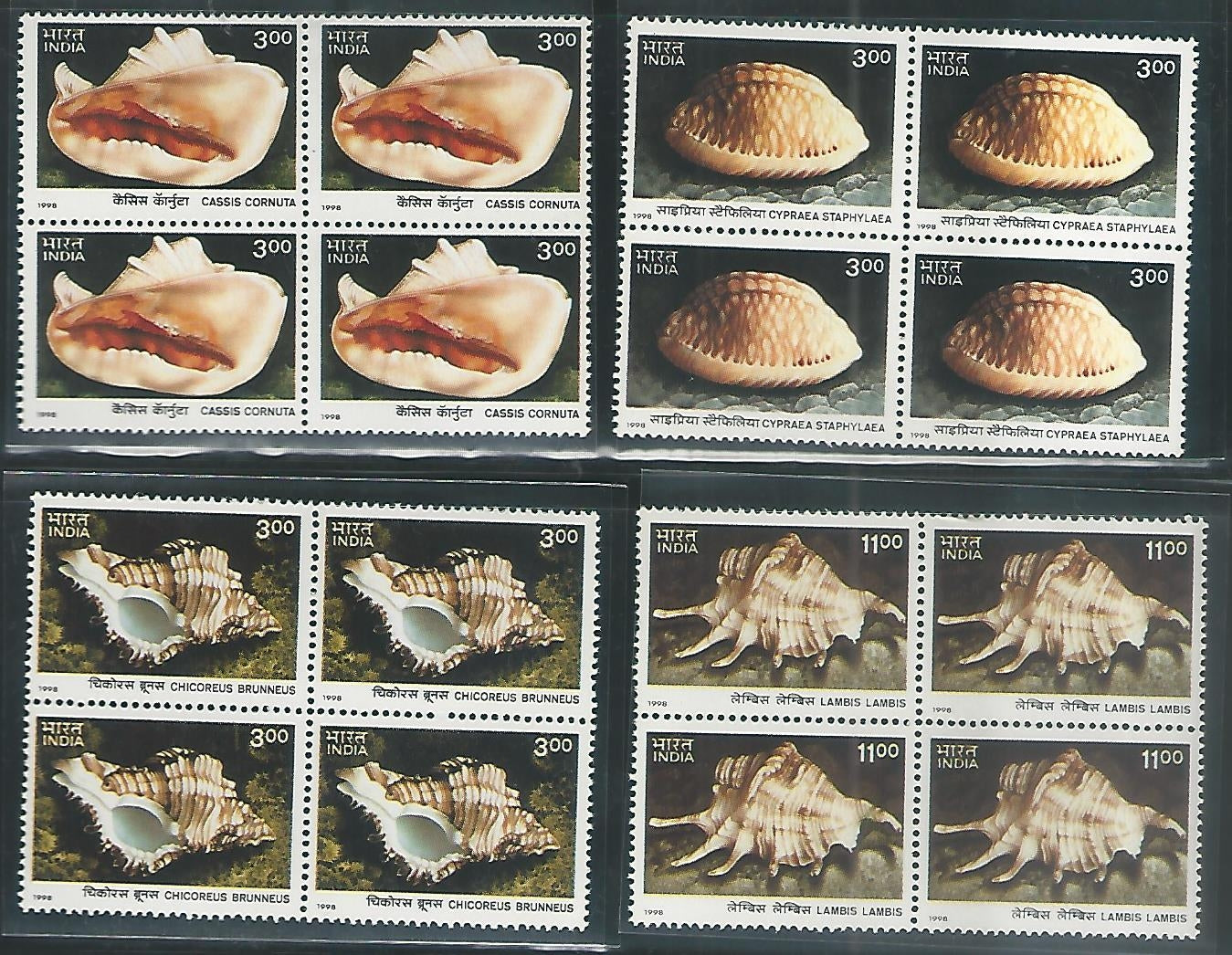 India Stamps – Block of 4 – International Year of Ocean Sea Shells of Andama and Nicobar Islands, C S, Mint, 1998 – INBLK0409