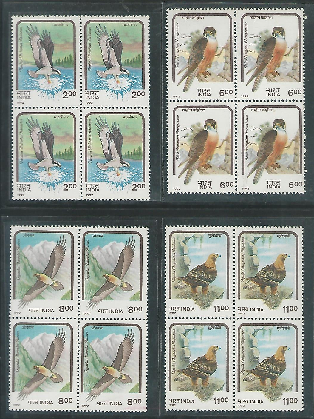 India Stamps – Block of 4 – Birds of Prey, Complete set of 4 Values, Mint , 1992 – INBLK452