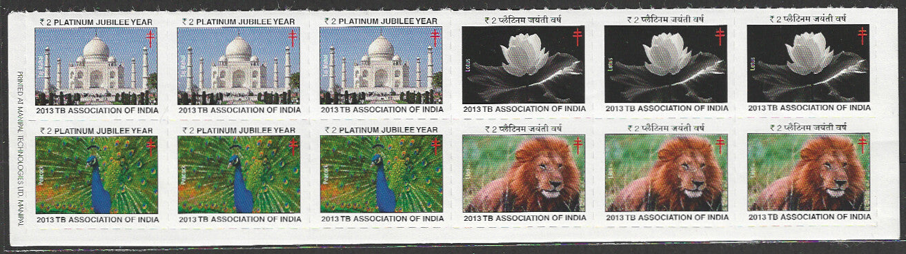 India TB Label Strip - VVV01055