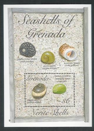 Grenada Stamps Miniature sheet – Seashells , Mint - DDD0025