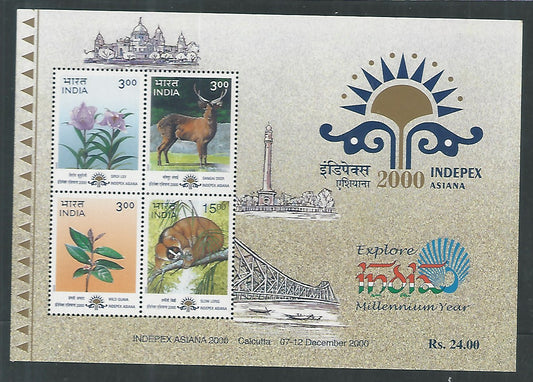 India Stamps - Miniature Sheet - INDEPEX ASIANA 2000 - EEE072