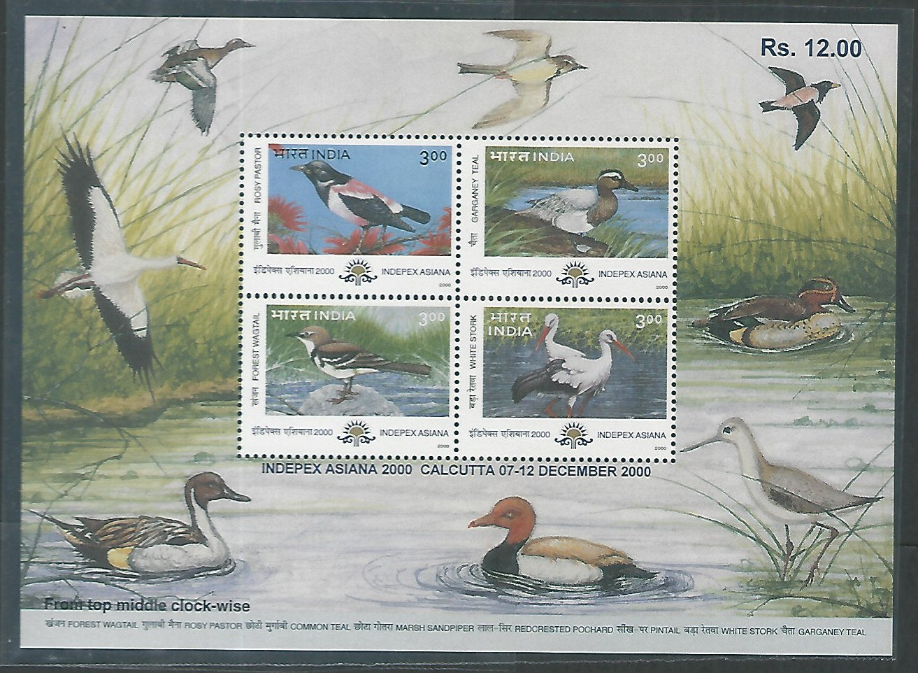 India Stamps - Miniature Sheet - Migratory Birds, 2000 - EEE075