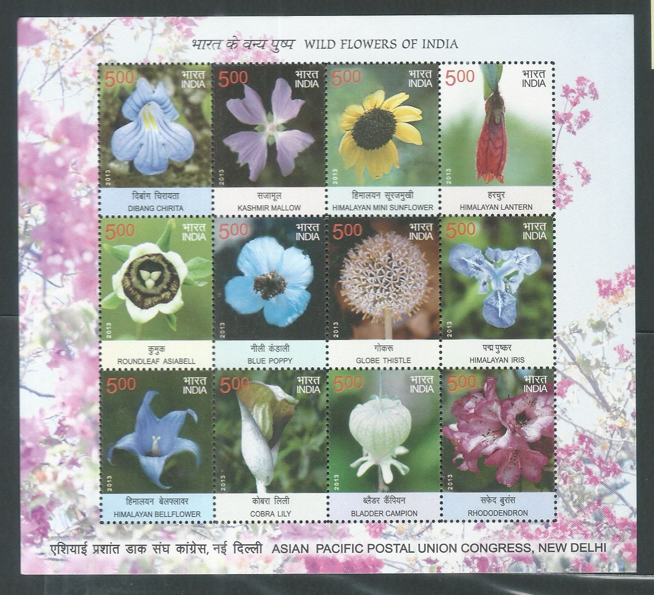 Indian Stamps - Miniature Sheets - Wild Flowers of India - Asian Pacific Postal Union Congress, New Delhi , 2013 - EEE127
