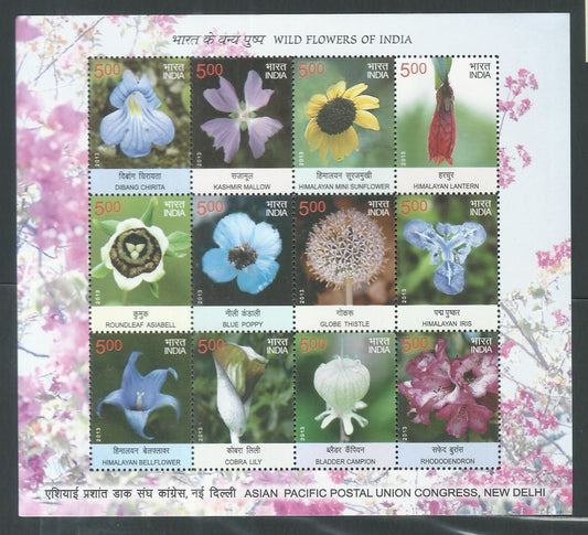 Indian Stamps - Miniature Sheets - Wild Flowers of India - Asian Pacific Postal Union Congress, New Delhi , 2013 - EEE127