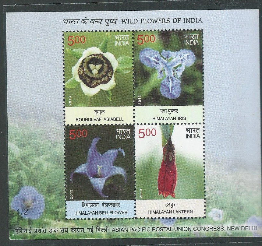 Indian Stamps - Miniature Sheets - Flowers of Inda 1/2 , 2013 - EEE138