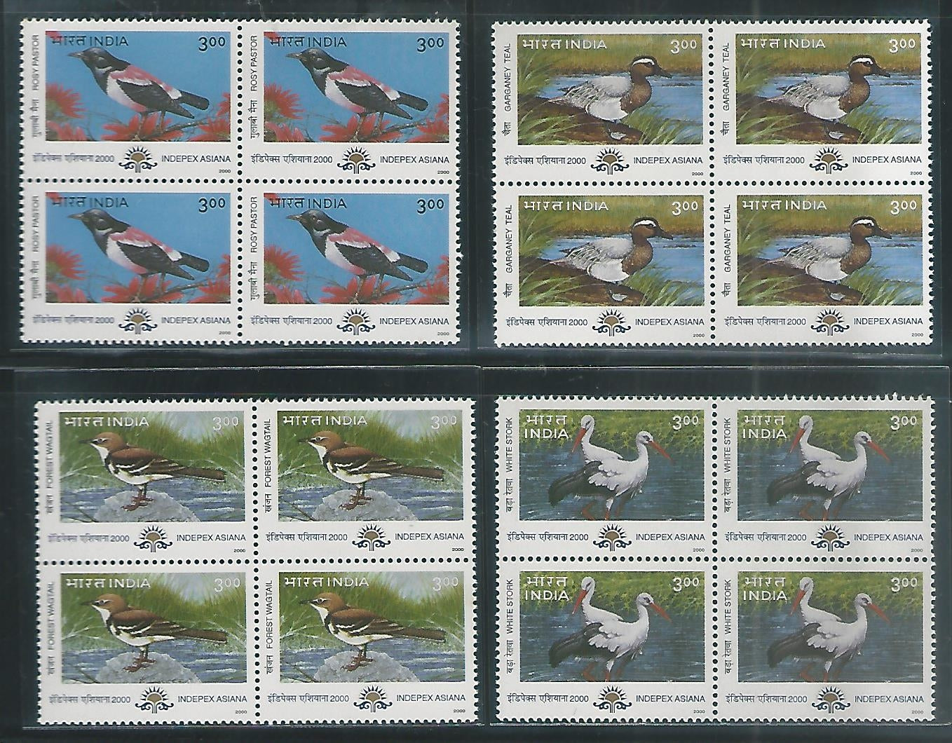 India Stamps – Block of 4 – Migratory Birds , Complete set, 2000, Mint – INBLK426