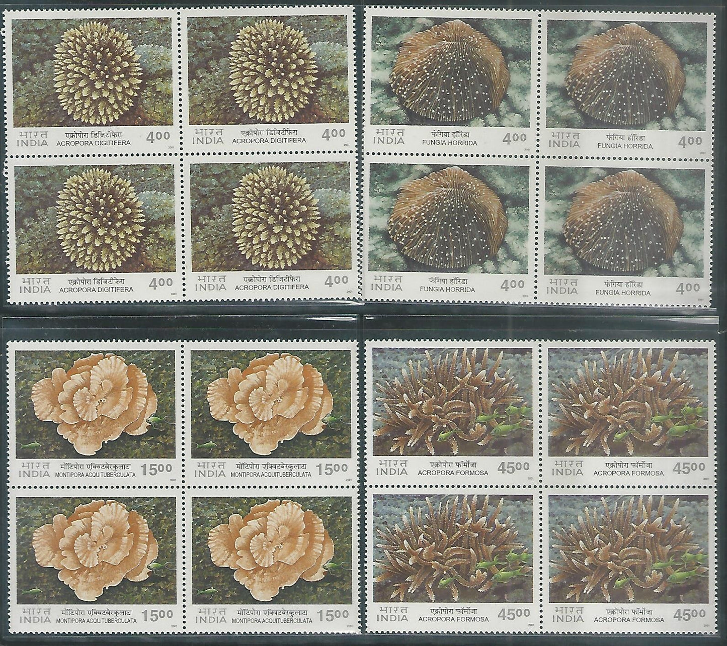India Stamps – Block of 4 – Coarls of India Complete set, 2001 – INBLK469